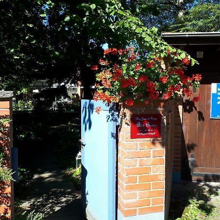 Chez Jean Et Daisy Bed & Breakfast Riehen Ngoại thất bức ảnh
